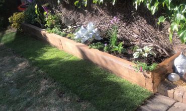 Gardening and Landscaping After 2