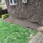 Gardening and Landscaping Before 2